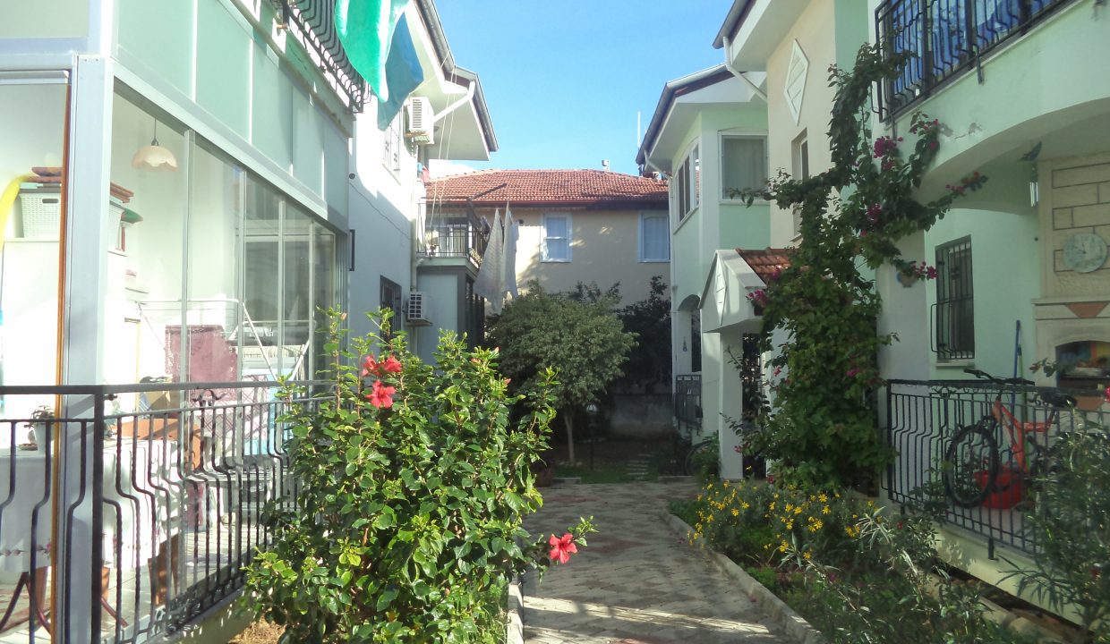 DSC00977