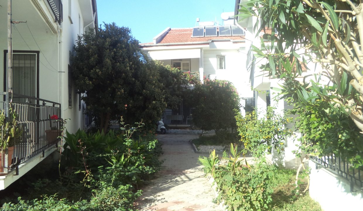 DSC00981