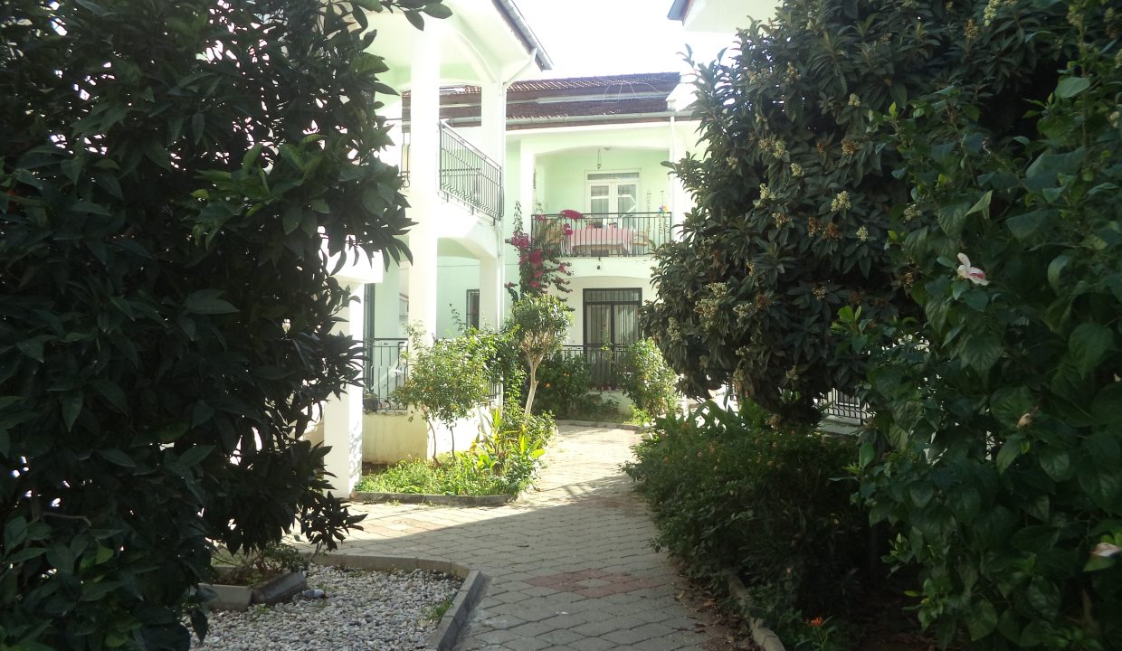 DSC00983