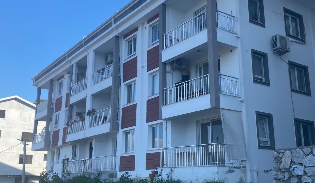 PATLANGIÇ RESİM 1